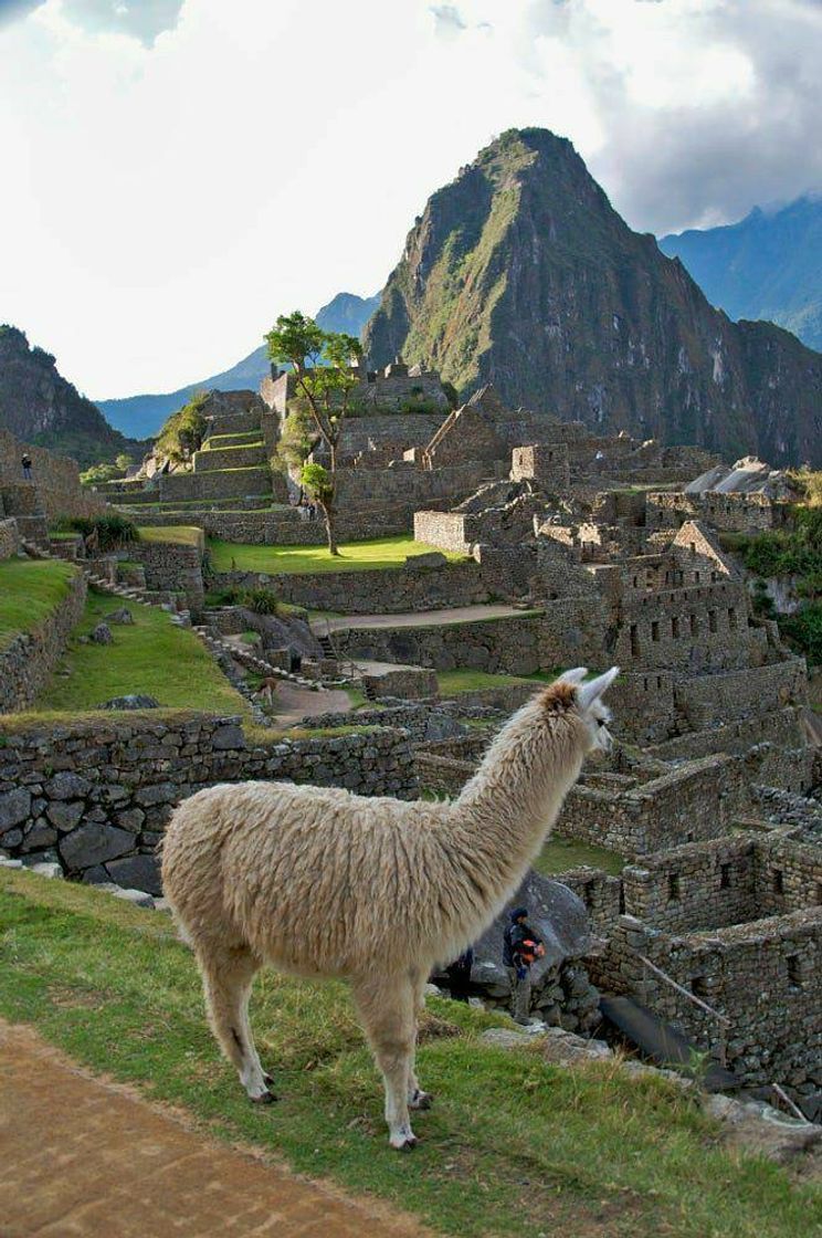 Lugar Perú