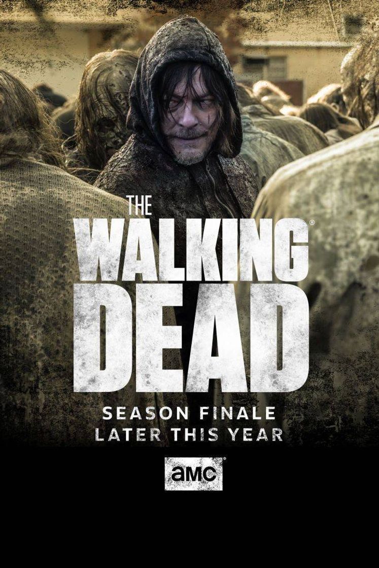 Serie The Walking Dead