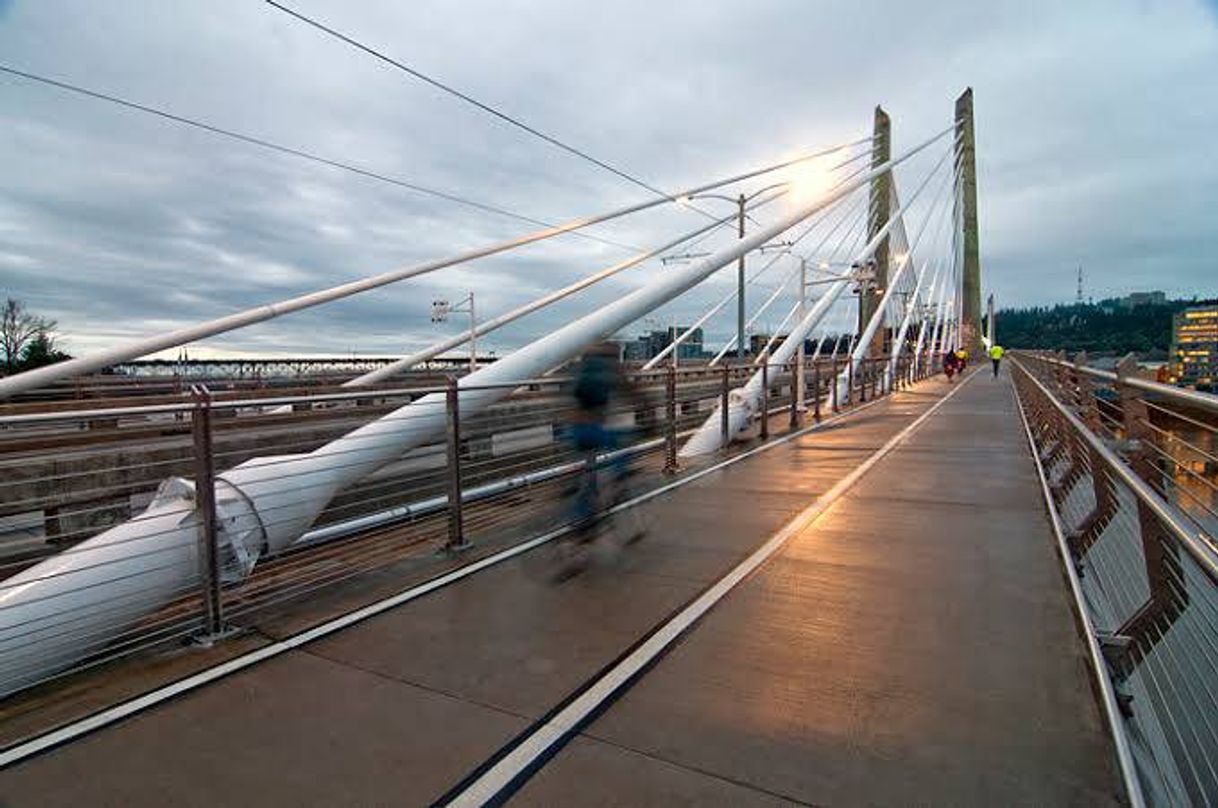 Place Tilikum Crossing Bridge