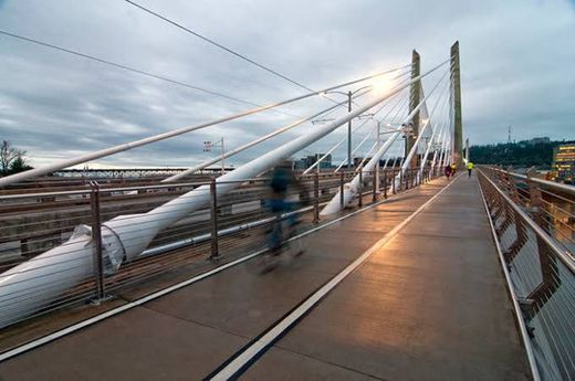 Tilikum Crossing Bridge