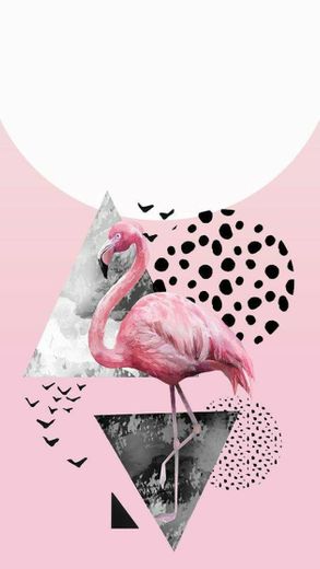 • Wallpaper Flamingo 
