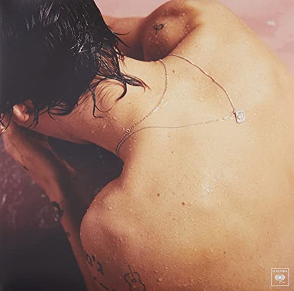 Social Harry Styles [Vinilo]