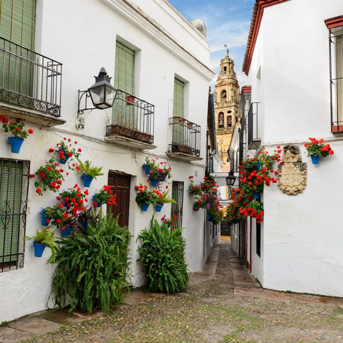 Lugar Judería de Cordoba