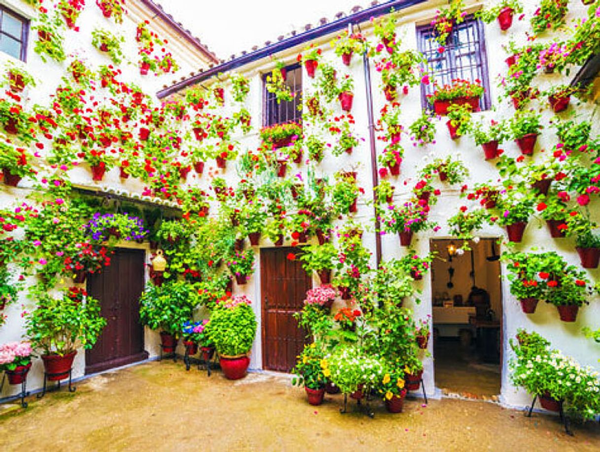 Place Patio Cordobés