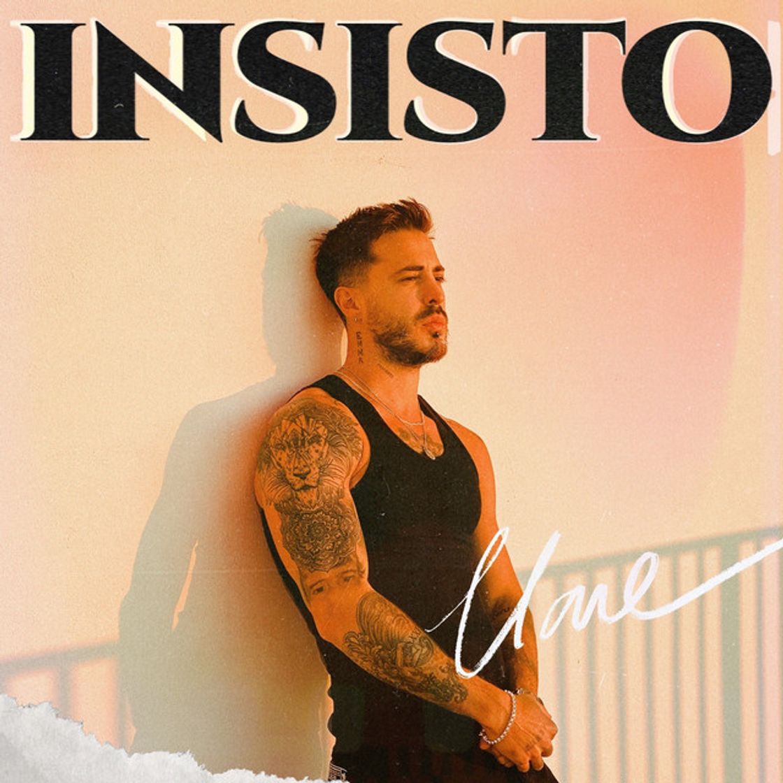 Canción Insisto