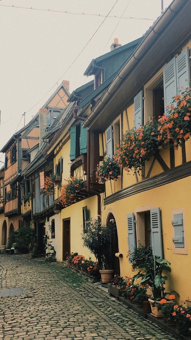 Place Eguisheim