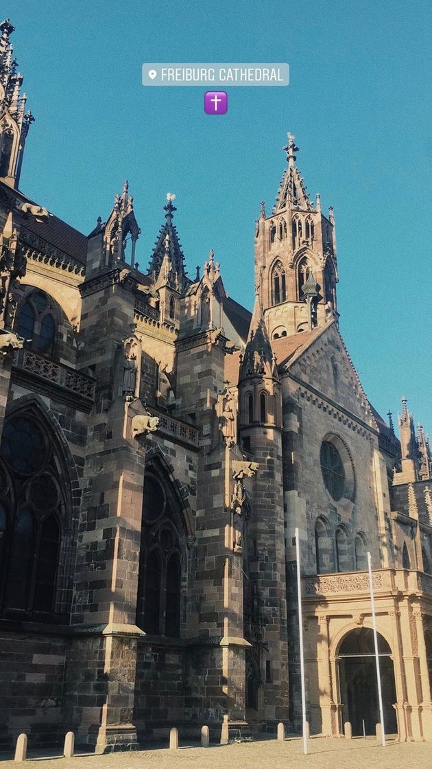 Place Freiburg Cathedral