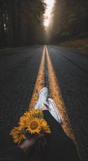 Sunflower road