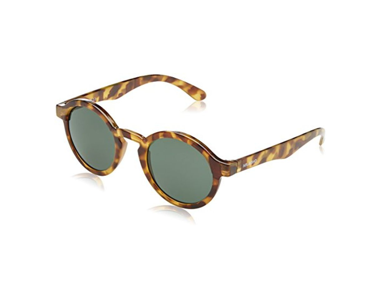 Moda MR.BOHO Dalston High-Contrast Tortoise Gafas de sol con lente clásica