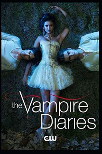 The Vampire Diaries: TVD diary, The vampire diaries Notebook, TVD notebook, Damon
