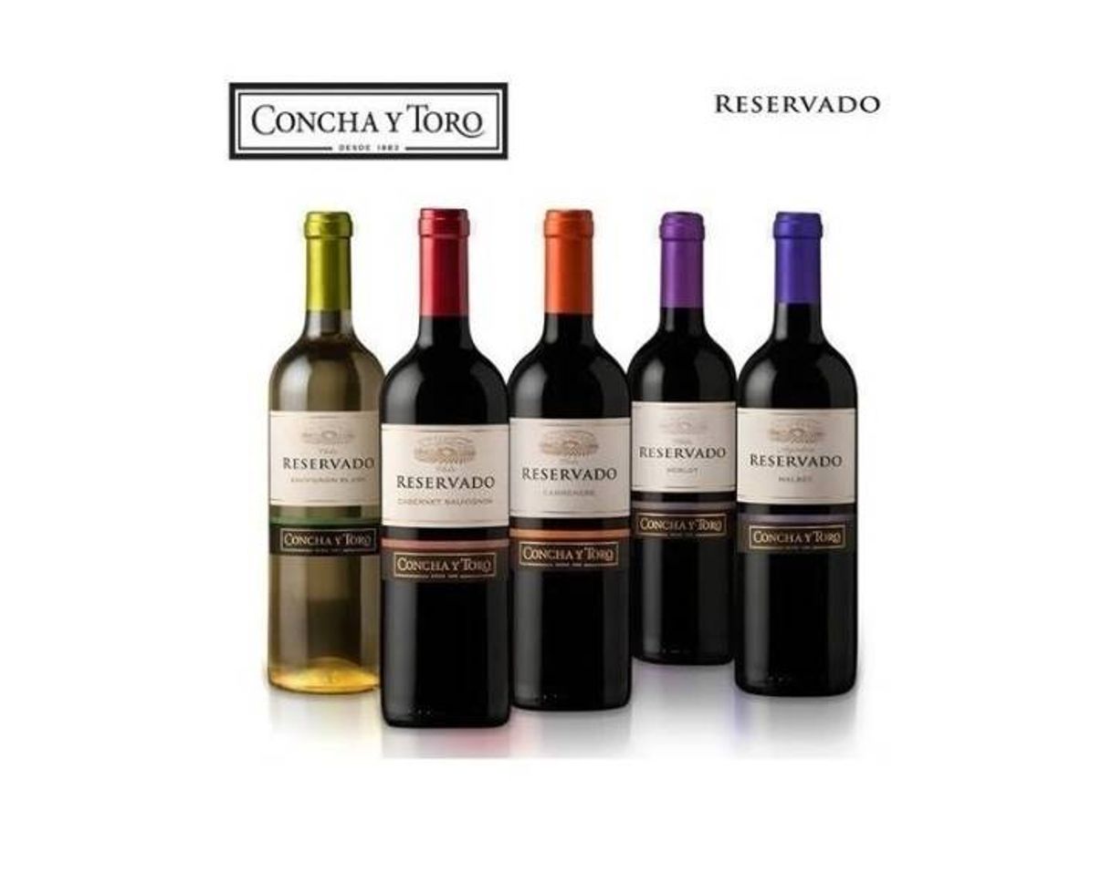 Social Concha y toro