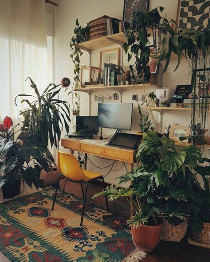 Decoração com plantas no escritório