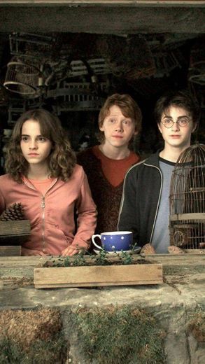 Trio Harry Potter