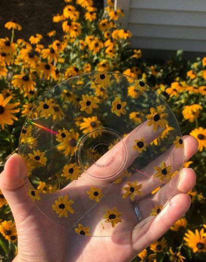 🌻