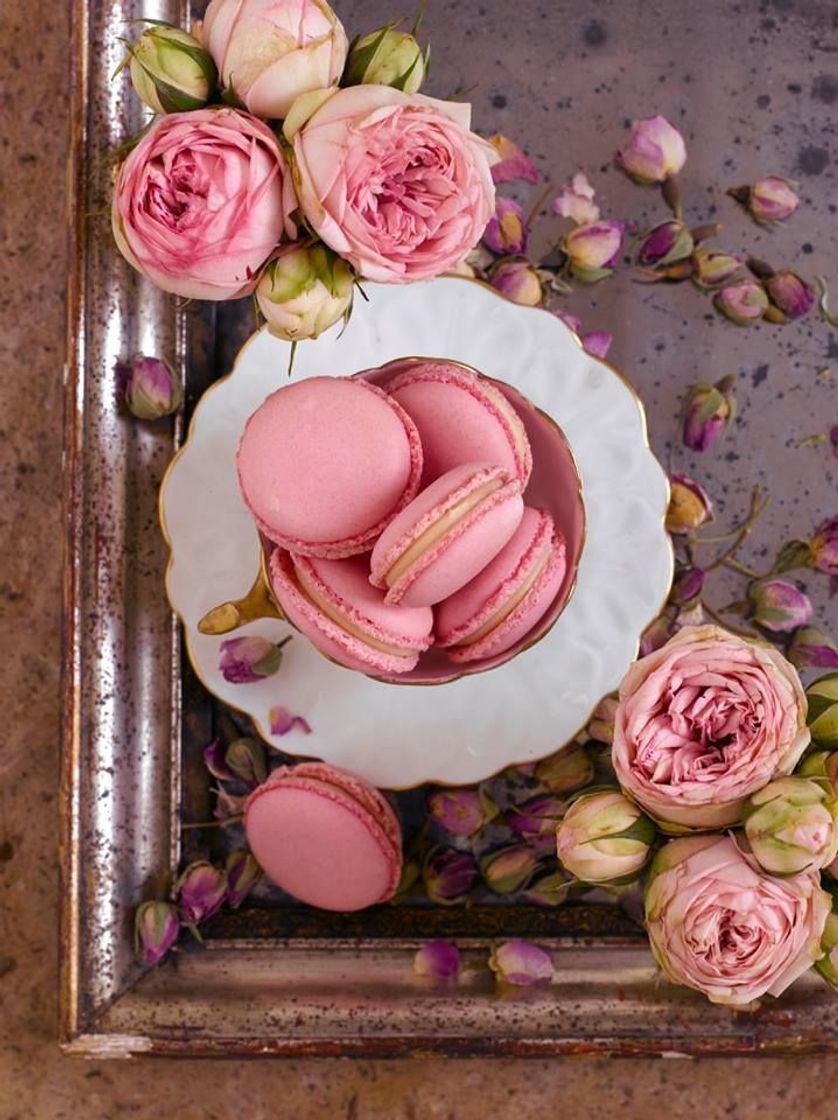 Fashion Macaroons 