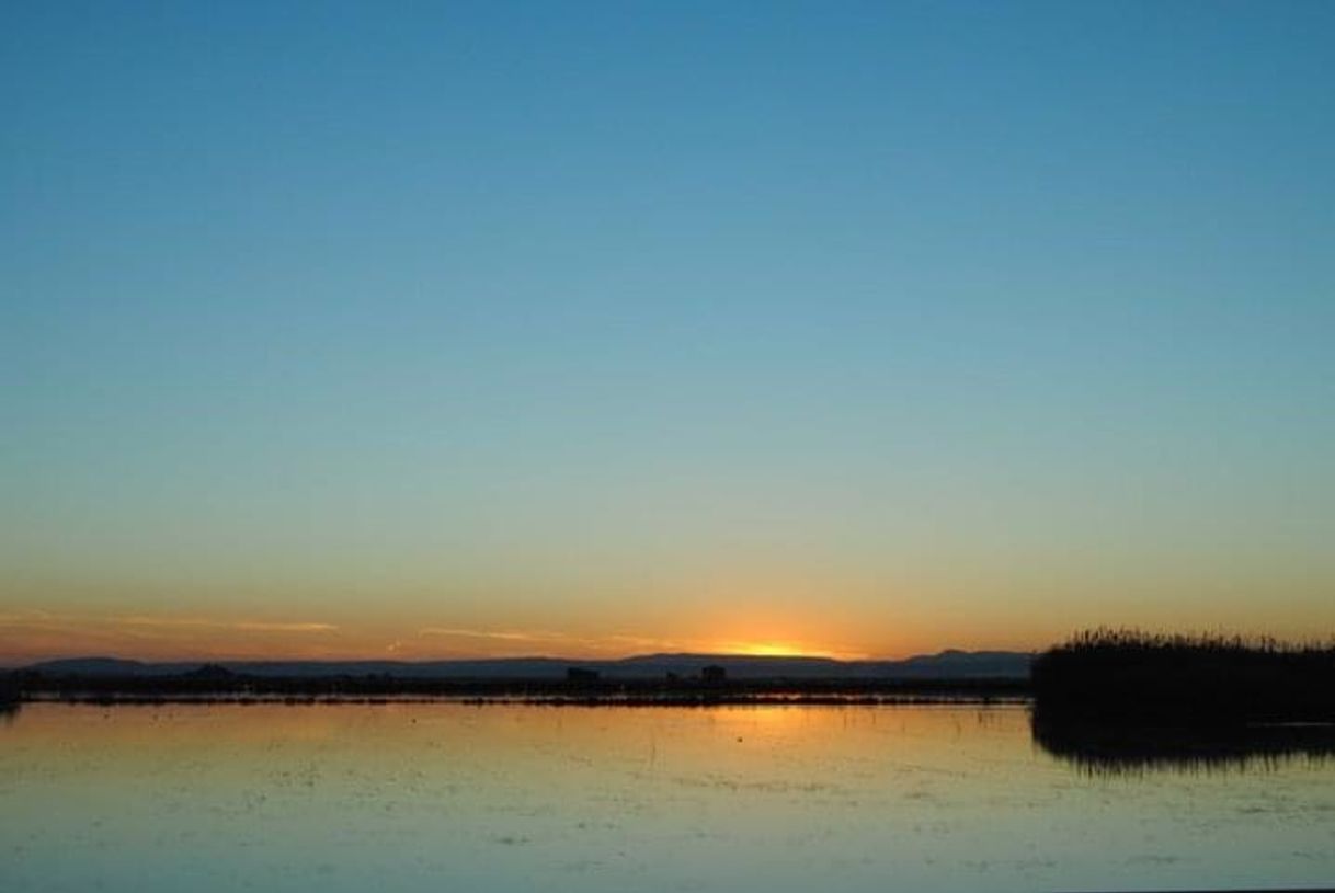 Lugar Albufera de Valencia