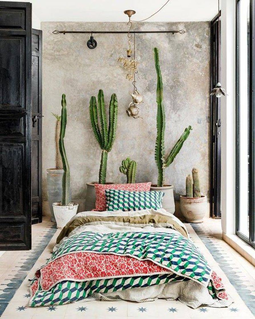 Moda 🌵🛏️