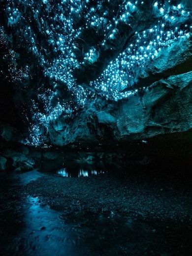 caverna Nova Zelandia