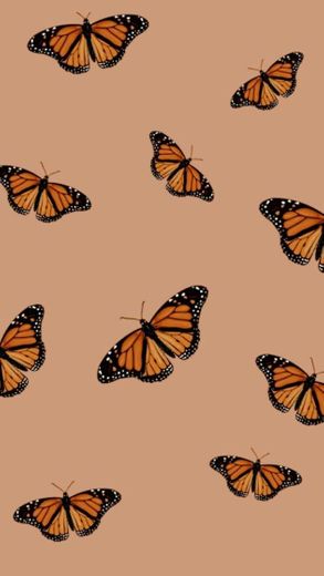Wallpaper de borboletas 🦋 