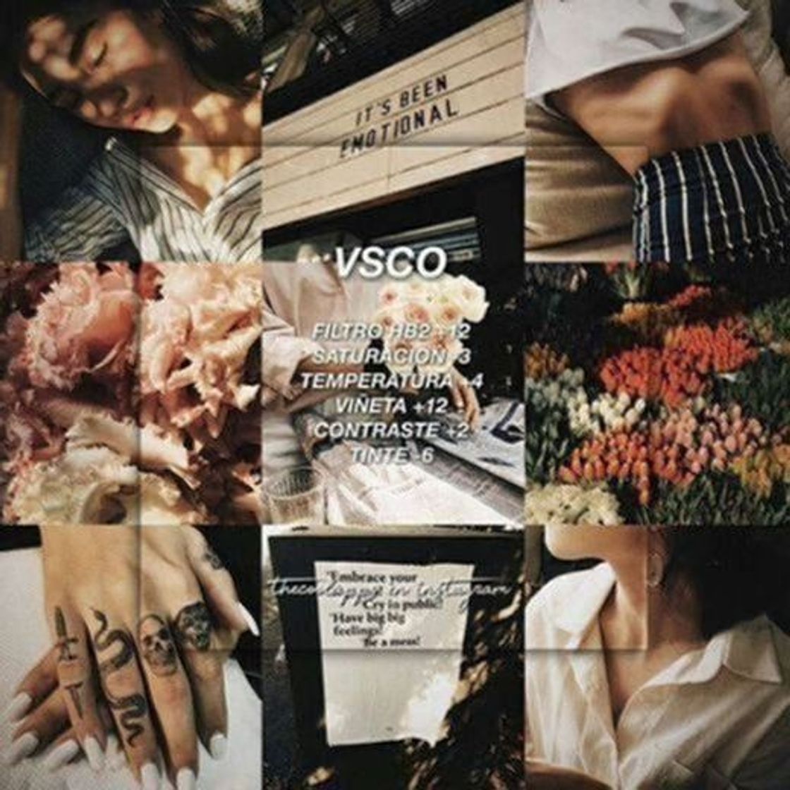 App VSCO: Editor de Fotos y Vídeos