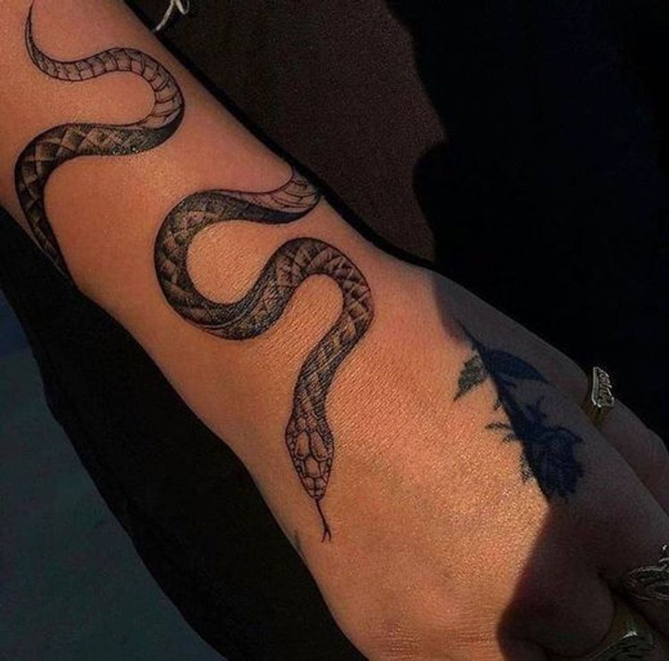 Social 🐍⃤