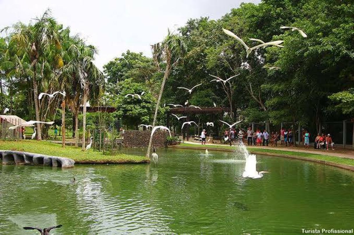 Lugar Perfeito lugar 