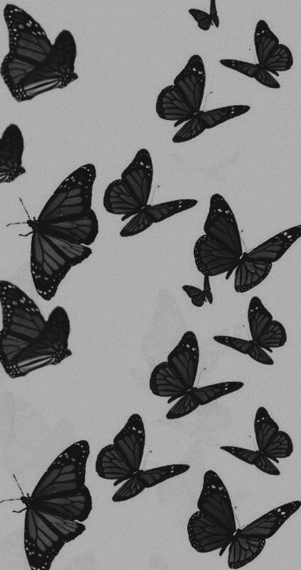 Moda Wallpaper butterfly Black♠️🦋