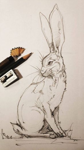 Desenho de coelho