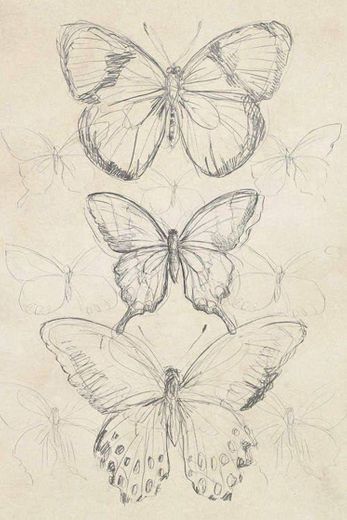 Desenho de borboleta 