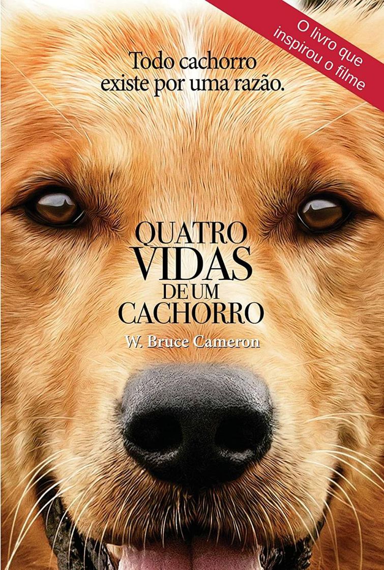 Libros Quatro Vidas de um Cachorro