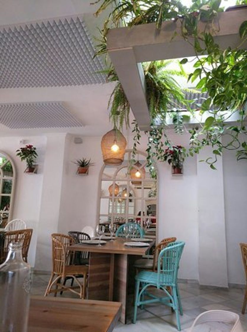 Restaurants Veranillo de Santa Ana
