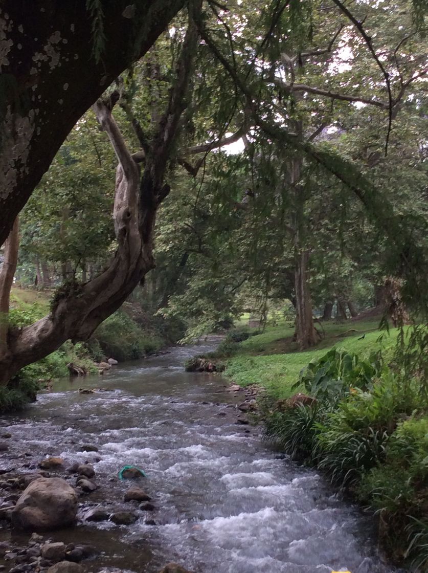 Lugar Río Blanco