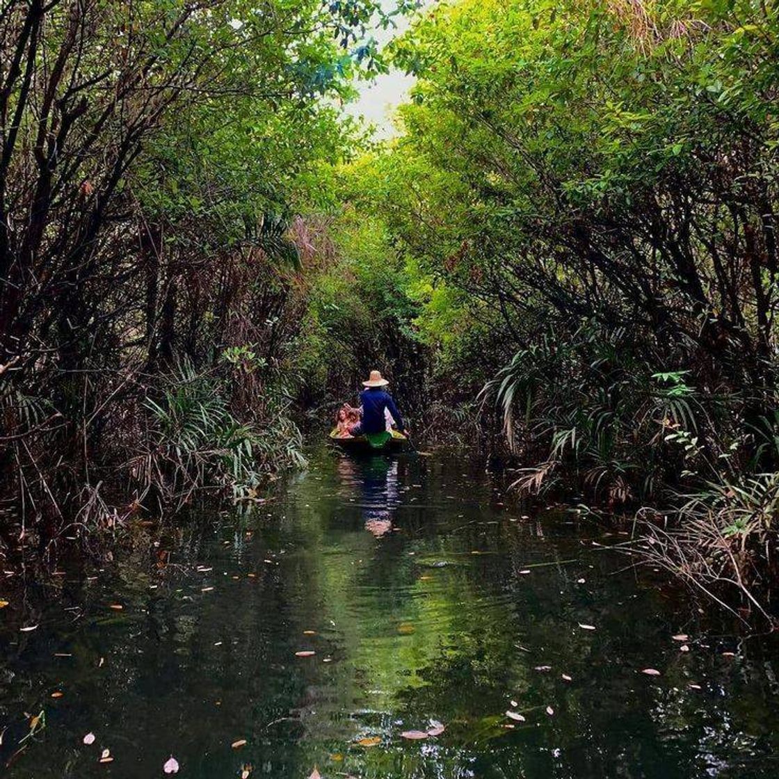 Moda FLORESTA ENCANTADA- Alter do Chão, Pa-Brasil💚💚💚