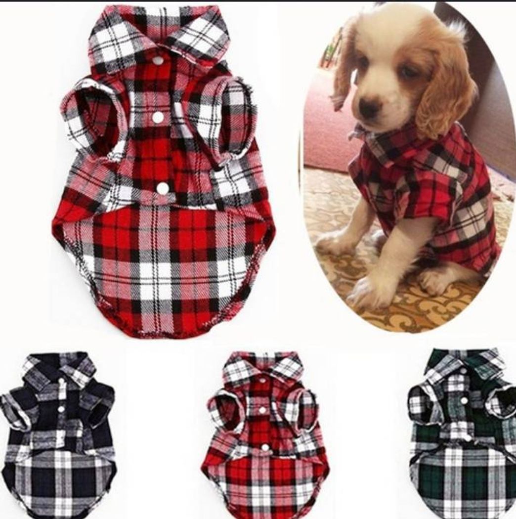 Moda Roupa para pet 🐶