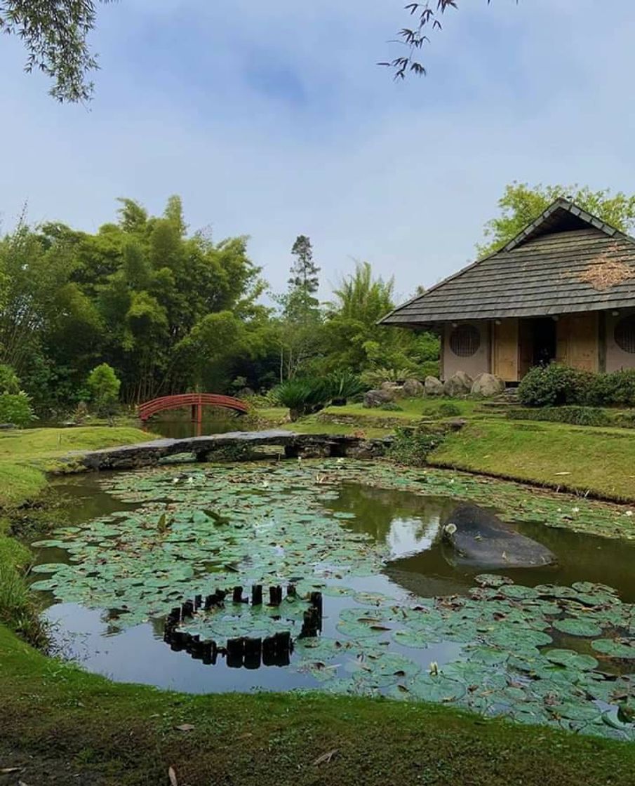 Lugar Jardín Botánico Lankester