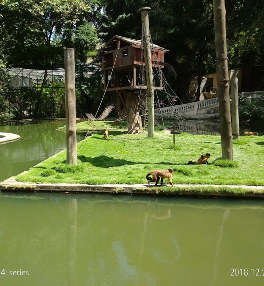 Lugar Parque Zoobotânico Arruda Câmara (Bica)