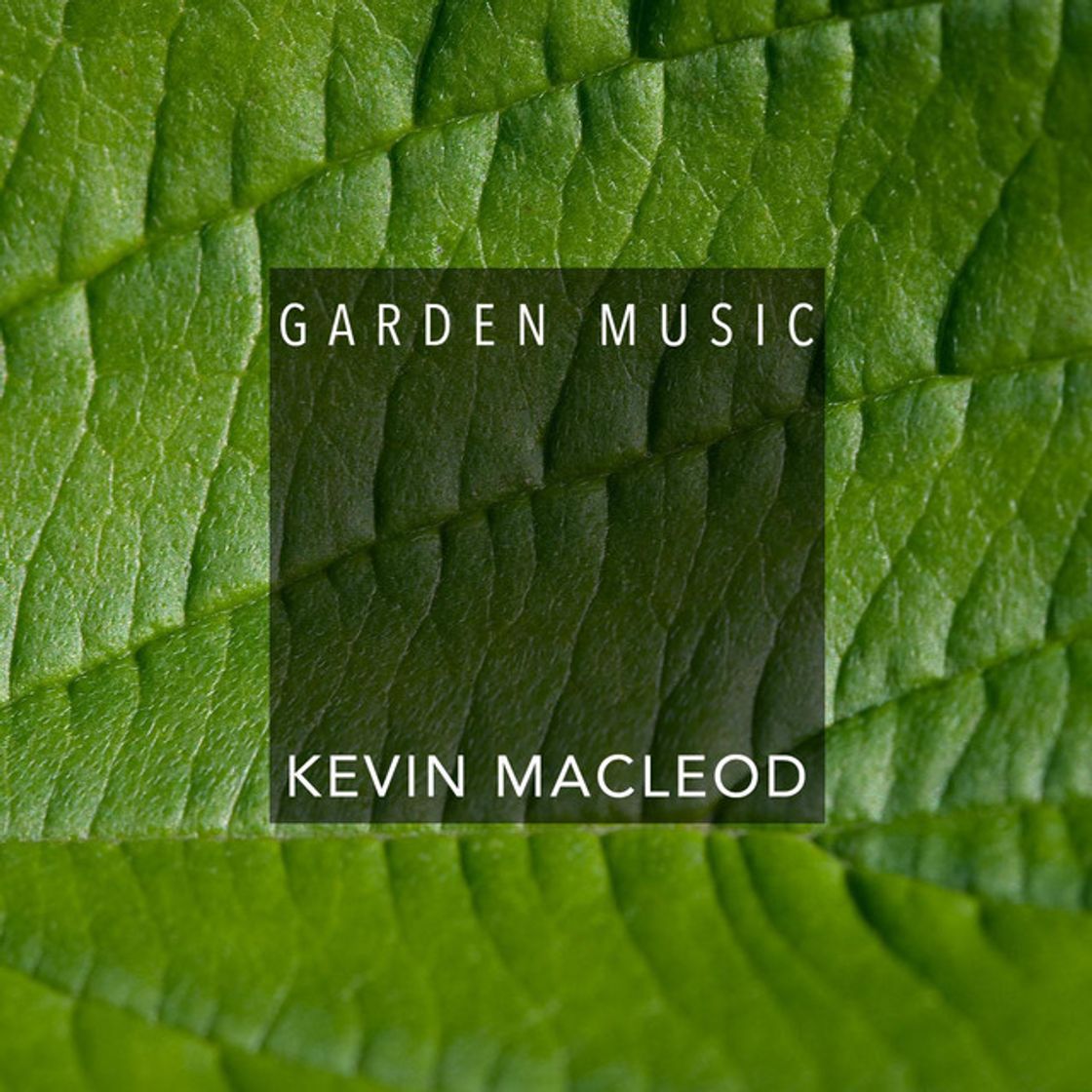 Music Garden Music