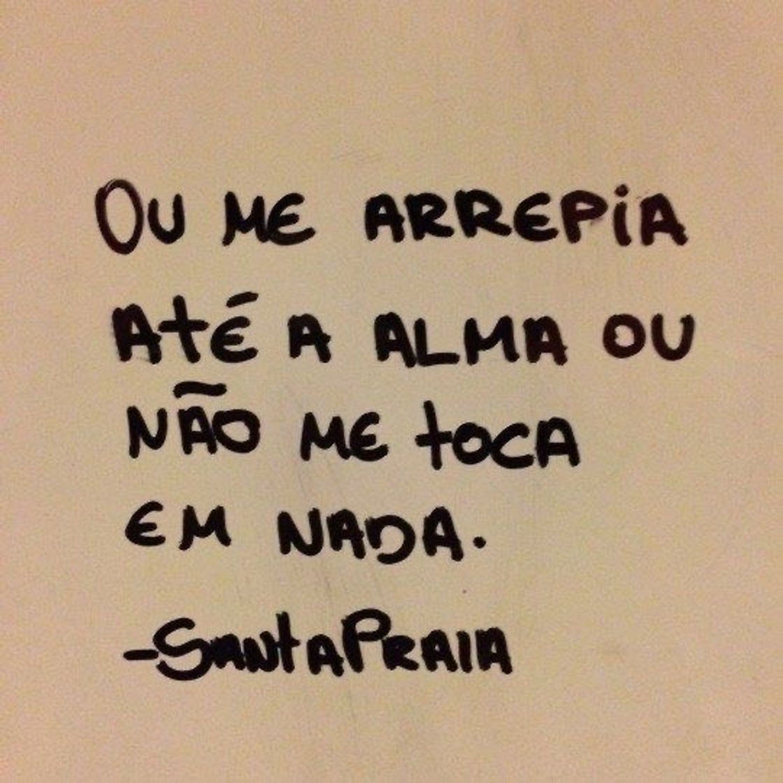Social FRASE