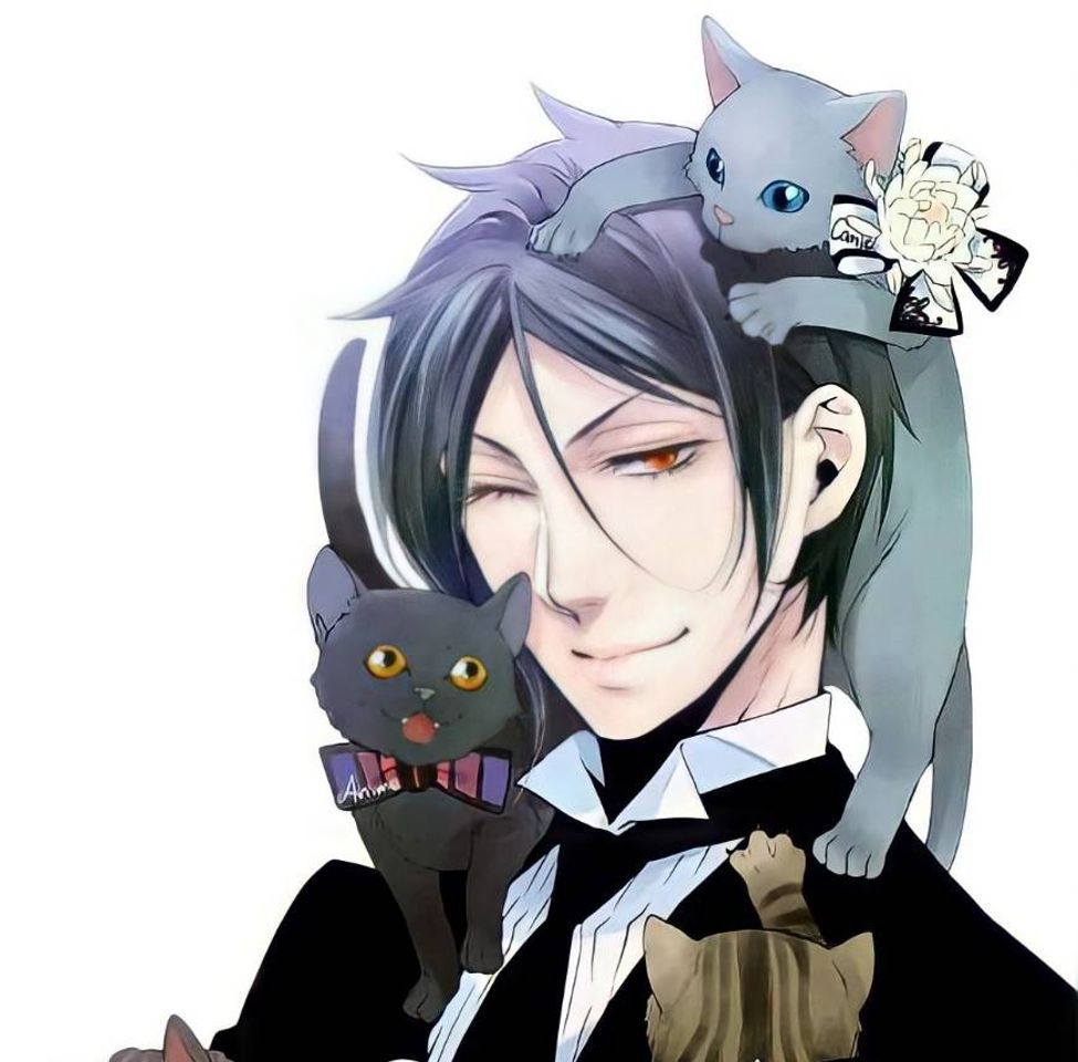 Book kuroshitsuji | black butler