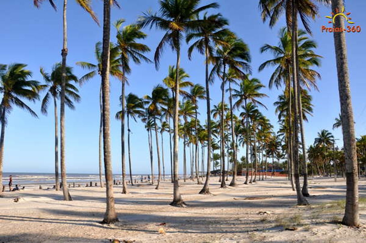 Lugar Praia Da Costa