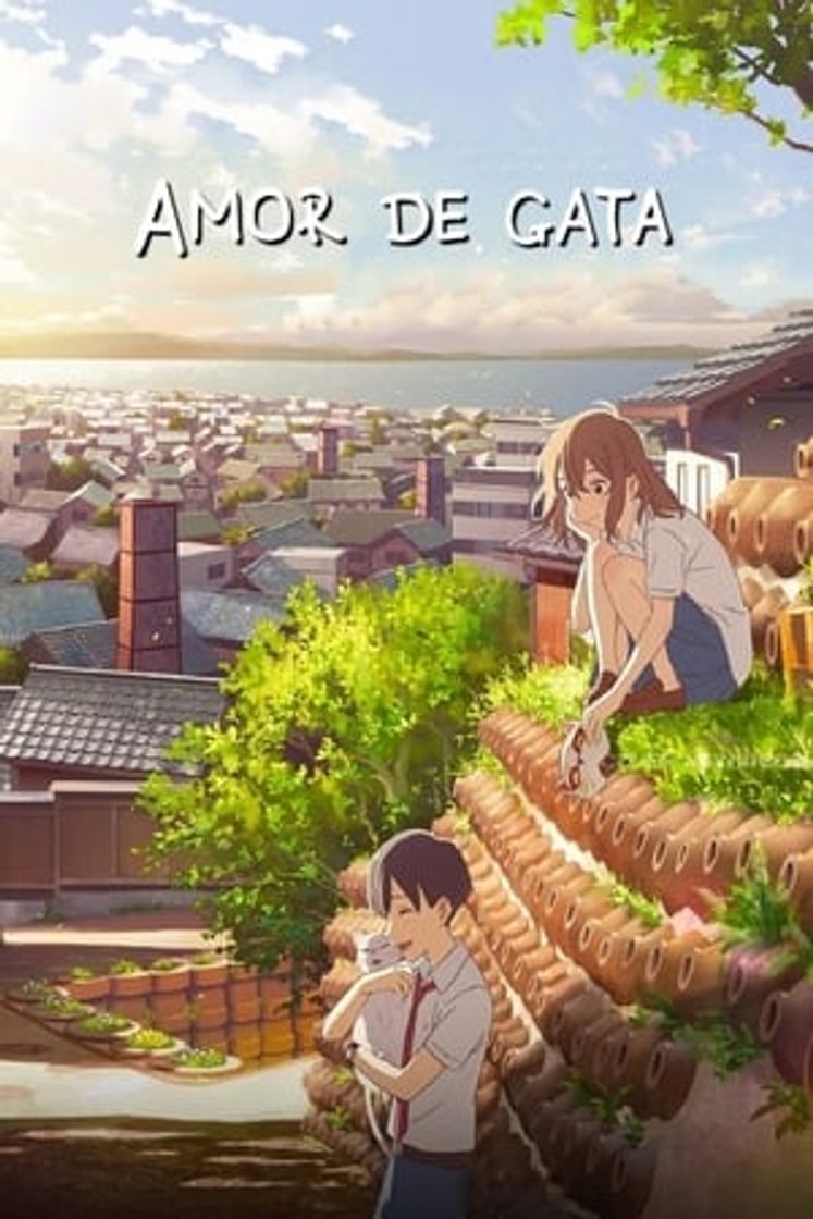 Película Amor de gata