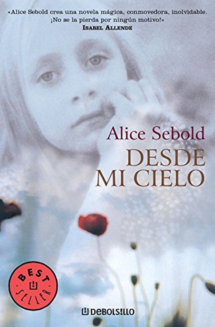 El cielo es real (libro)