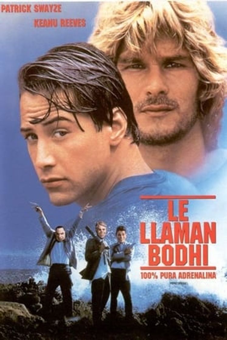 Movie Le llaman Bodhi