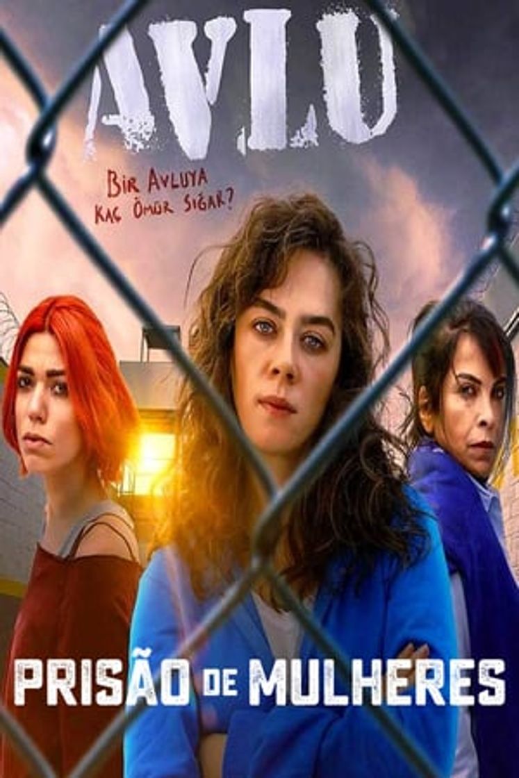 Serie Avlu: El patio