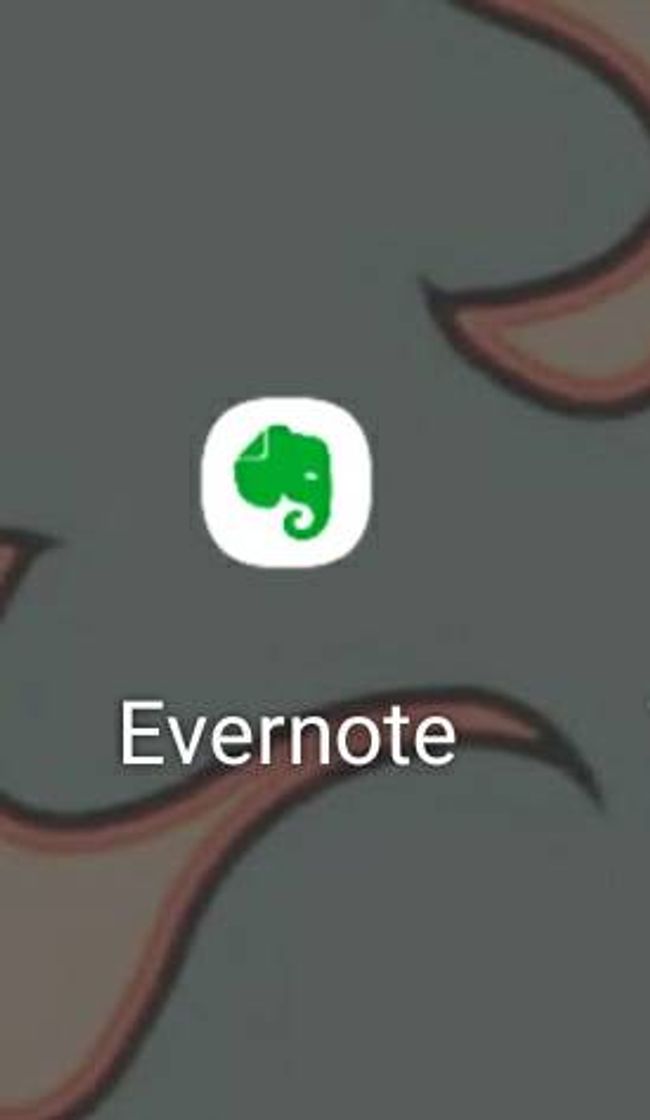 Fashion Evernote