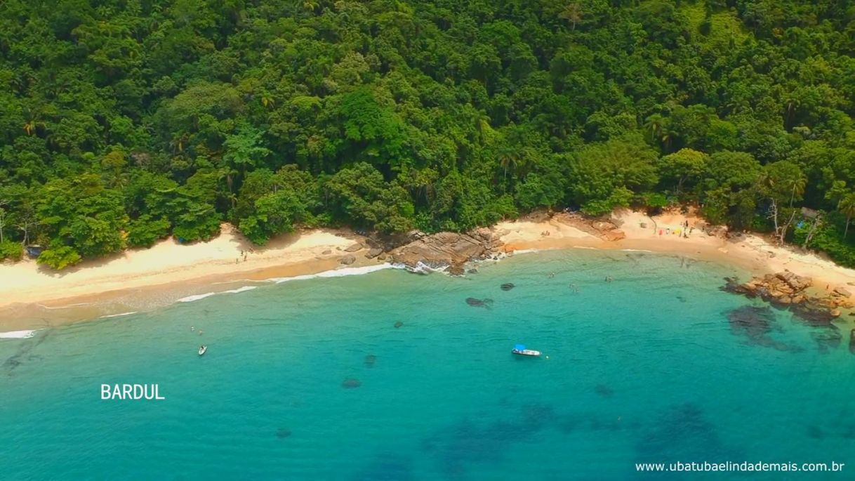 Place Praia do Cedro do Sul