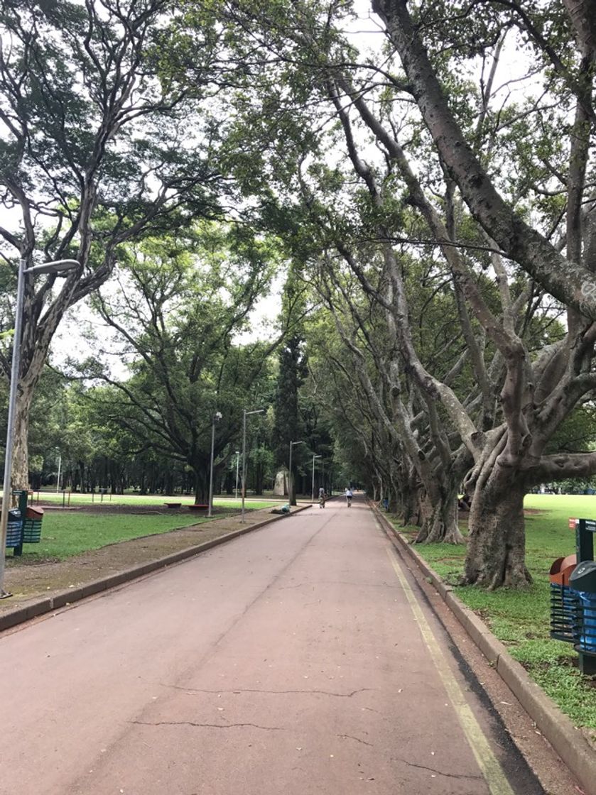 Lugar Ibirapuera