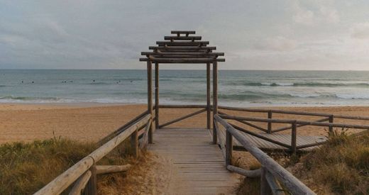 Playa Del Palmar, Cádiz