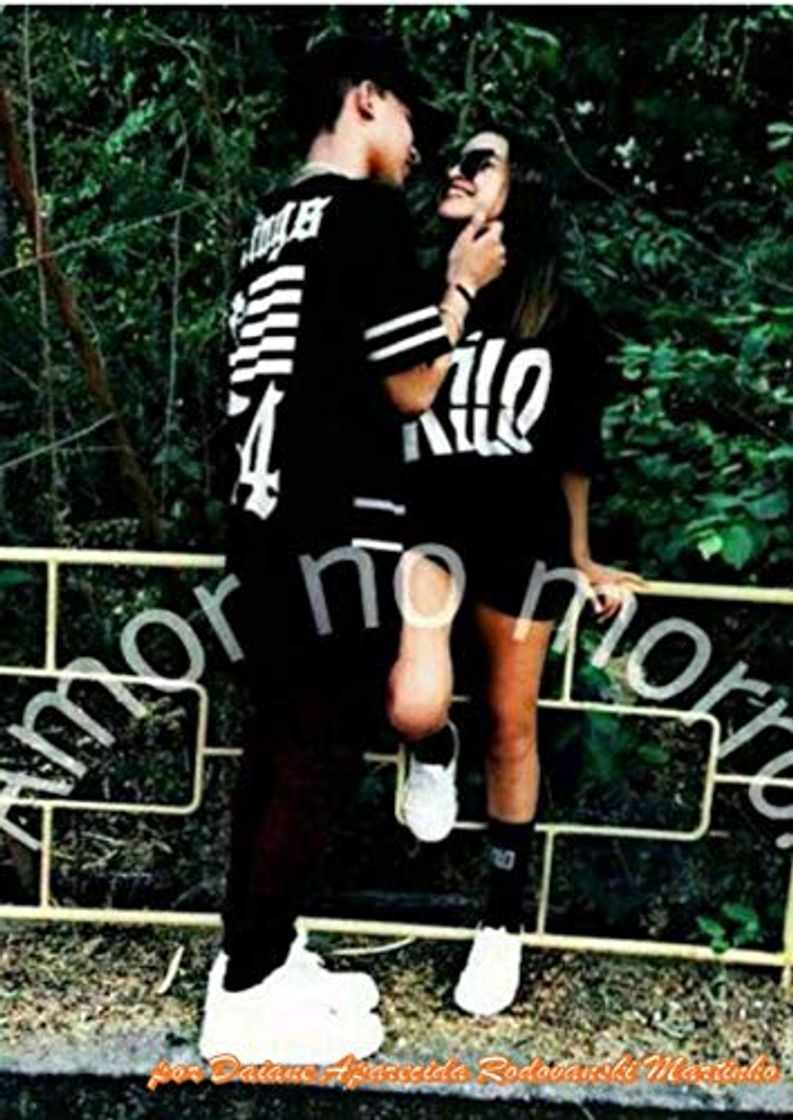 Book UM AMOR NO MORRO