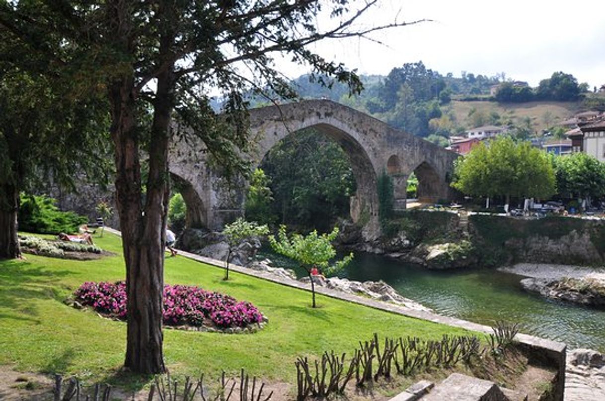 Place Cangas de Onís